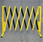 Yellow/Black
